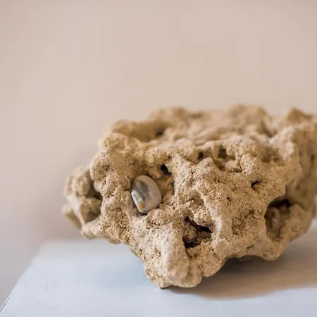 Apartmán Incantevole Banchi Di Sopra *