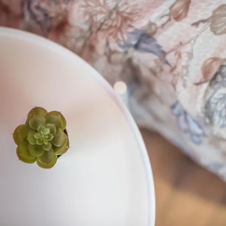 Incantevole Banchi Di Sopra Apartment Siena